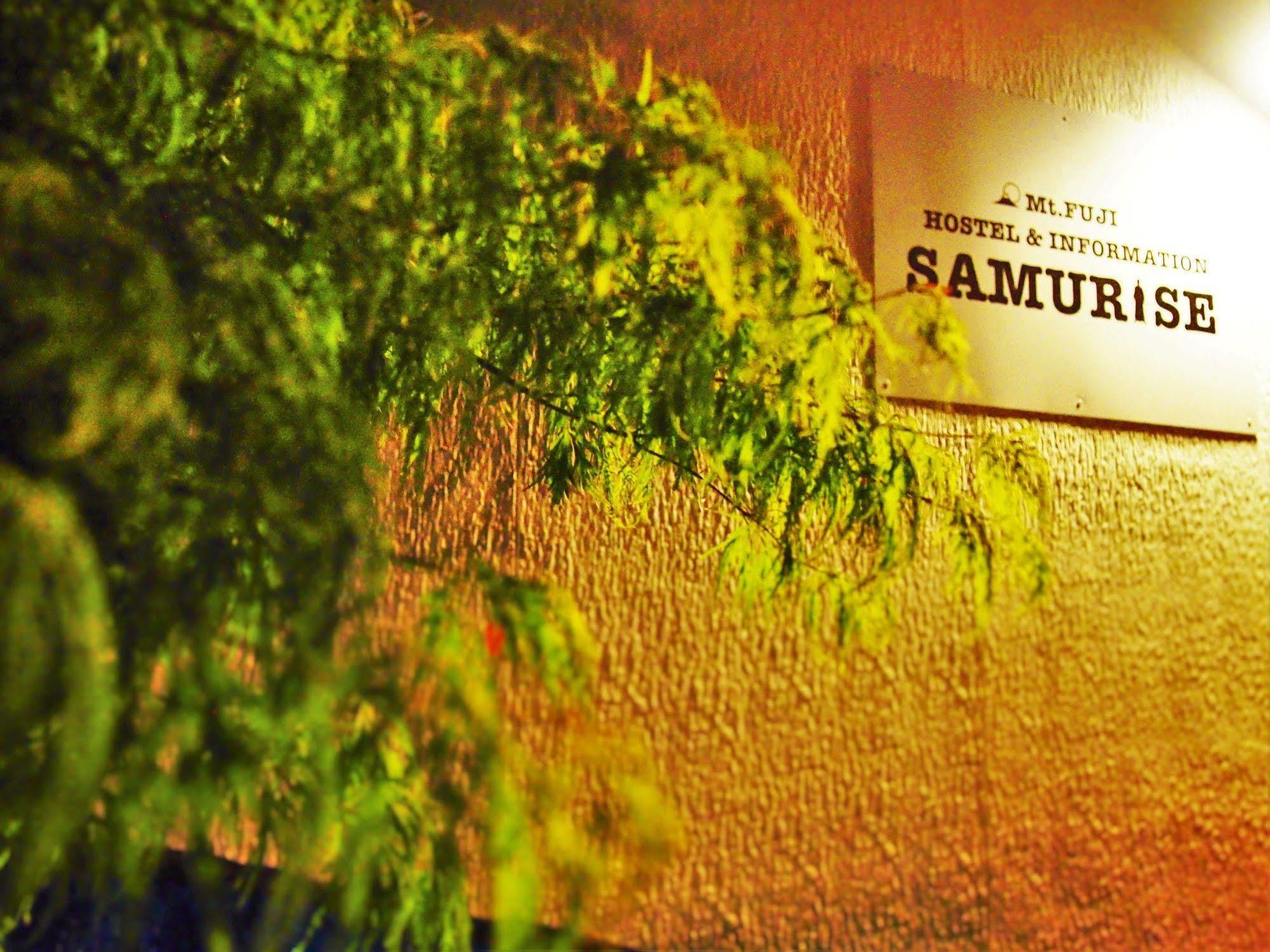 Hostel Samurise Mt Fuji Fujikawaguchiko Esterno foto
